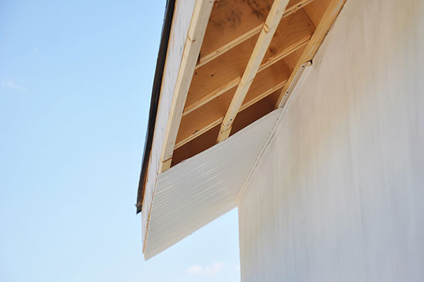 Fascia Repair Services